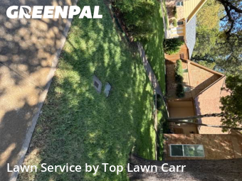 Property Maintenance in Duncanville, 75137, Yard Grooming by Top Lawn Carr, work completed in Oct , 2025
