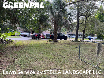 Grass Cut nearby Tampa, FL, 