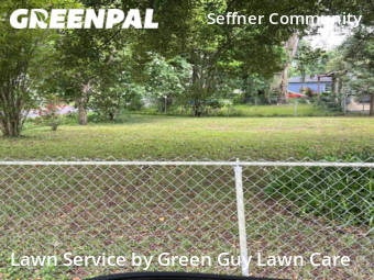 Grass Cut nearby Seffner, FL, 