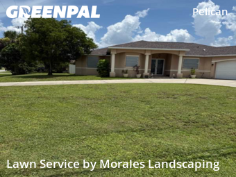 Grass Cut nearby Cape Coral, FL, 
