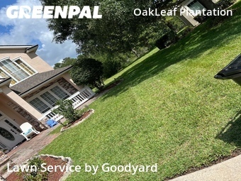 Lawn Maintenancein Orange Park,32065,Lawn Cutting by Goodyard , work completed in Jun , 2026