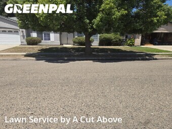 Work completed by local-lawn-maintenance-contractors-in in Tulare, CA