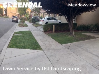 Landscaping Cleanup In Sacramento,95822,Landscaping Cleanup by Dst Landscaping, work completed in Oct , 2025