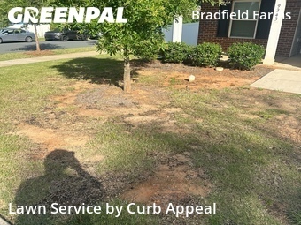 Grass Cutin Charlotte,28215,Lawn Cutting by Curb Appeal, work completed in Jun , 2026