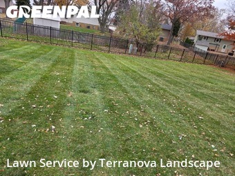 Lawn Services in Downers Grove, 60516, Yard Management by Terranova Landscape, work completed in Dec , 2025