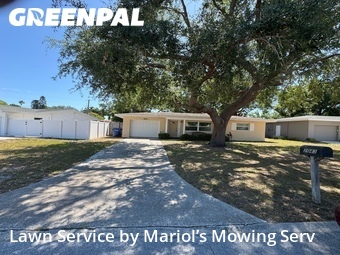 Lawn Cutting nearby Largo, FL, 