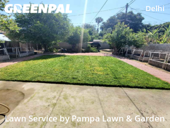 Grass Cut nearby Santa Ana, CA, 