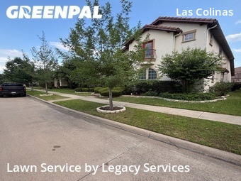 Landscaping In Irving,75039,Landscaping by Legacy Services, work completed in Jun , 2026