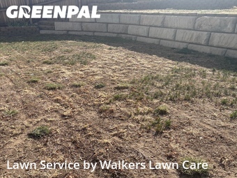Grass Cutting nearby Colorado Springs, CO, 