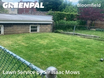 Grass Cut nearby Pittsburgh, PA, 