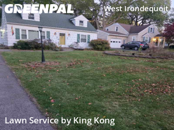 Lawn Care nearby Irondequoit, NY, 