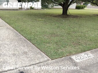 Lawn Mow nearby Bessemer, AL, 