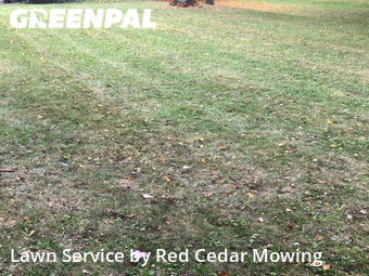 Lawn Mowing Service nearby Lansing, MI, 