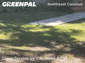Landscaping Services In Miami,33133,Landscaping Cleanup by You Need A Cut , work completed in Jan , 2026