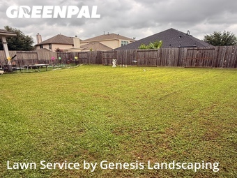 Yard Cutting nearby Conroe, TX, 