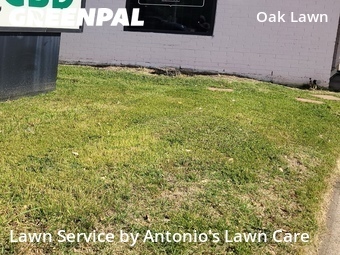 Lawn Care Service nearby Dallas, TX, 