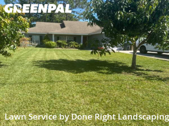 Yard Cutting nearby Leesburg, FL, 