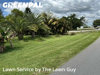 Grass Cut nearby Fort Myers, FL, 