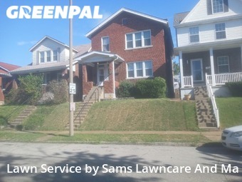Lawn Care nearby St. Louis, IL, 