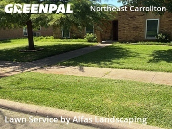Landscaping Installation Carrollton,75007,Landscapers by Alfas Landscaping, work completed in Jul , 2026