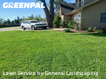 Lawn Mow nearby Elmhurst, IL, 