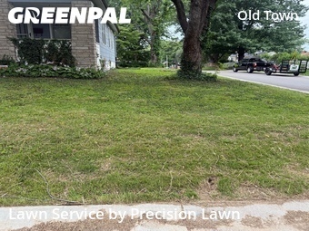 Lawn Mowingin Florissant,63031,Yard Cutting by Precision Lawn , work completed in Jun , 2026