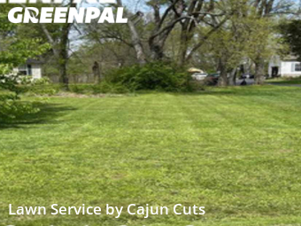 Grass Cutting nearby Murfreesboro, TN, 