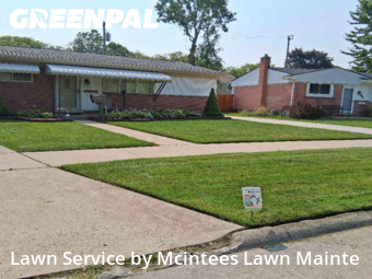 Grass Cut nearby Southgate, MI, 