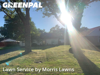 Lawn Mowing Service nearby Toledo, OH, 