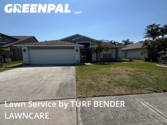 Lawn Mow nearby Oldsmar, FL, 