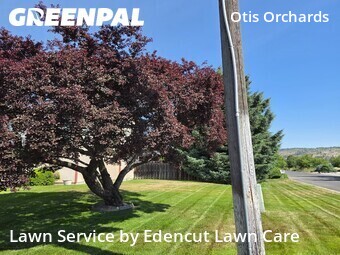 Lawn Mowing nearby Otis Orchards East Farms, WA, 