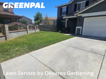 Grass Cut nearby Lancaster, CA, 