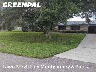 Lawn Care Service nearby Mulberry, FL, 