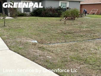 Grass Cut nearby Port St. Lucie, FL, 