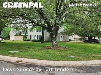 Lawn Care nearby Matthews, NC, 