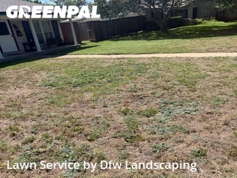 Grass Cutin Richardson,75080,Yard Cutting by Dfw Landscaping , work completed in Jun , 2026