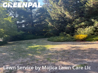 grass-trimming-service-in-Elk Grove-CA