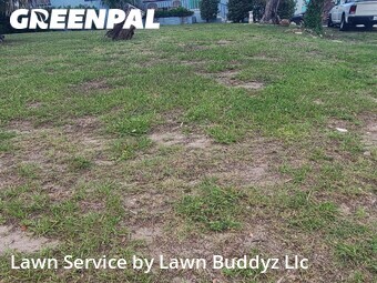 Grass Cutting nearby Daytona Beach, FL, 