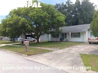 Lawn Mow nearby Tampa, FL, 