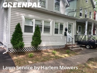 Grass Cutting nearby Belleville, NY, 