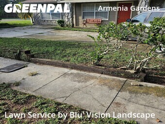 Lawn Mow nearby Tampa, FL, 