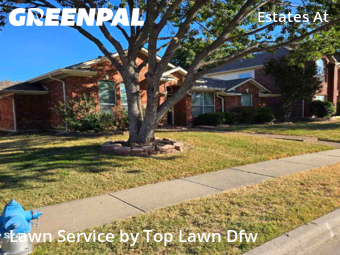 Landscaper In Plano,75024,Landscaping Cleanup by Top Lawn Dfw, work completed in Oct , 2025