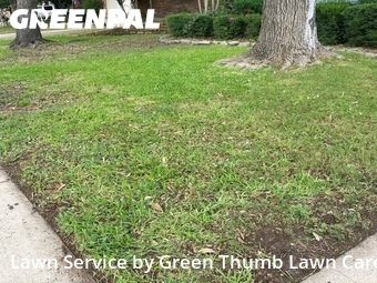 Lawn mowed in Addison, 75001