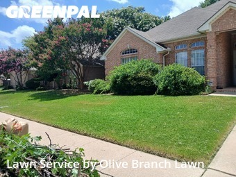 Lawn Mowingin Haltom City,76137,Lawn Care by Olive Branch Lawn, work completed in Nov , 2025