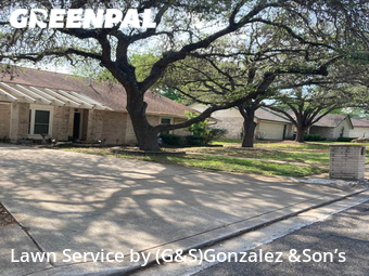 Grass Cut nearby San Antonio, TX, 