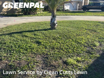 Affordable Landscaping Maintenance Services In St. Petersburg,33703,Landscaping Cleanup by Clean Cutts Lawn , work completed in Jan , 2026
