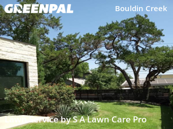Grass Cut nearby Austin, TX, 