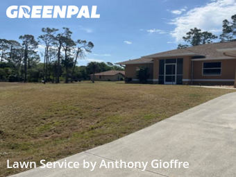 Yard Mowing nearby Port Charlotte, OH, 