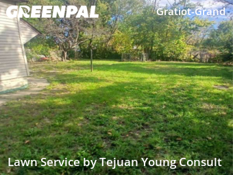 Grass Cutting in Detroit, 48214, Yard Services by Tejuan Young Consult, work completed in Nov , 2025