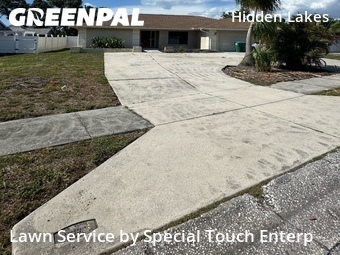 Lawn Cut nearby Palm Harbor, FL, 